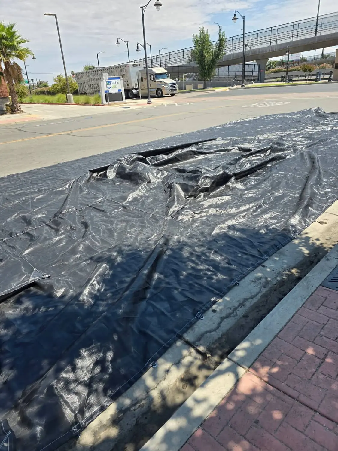 Lightweight Citrus Tarps — view 2