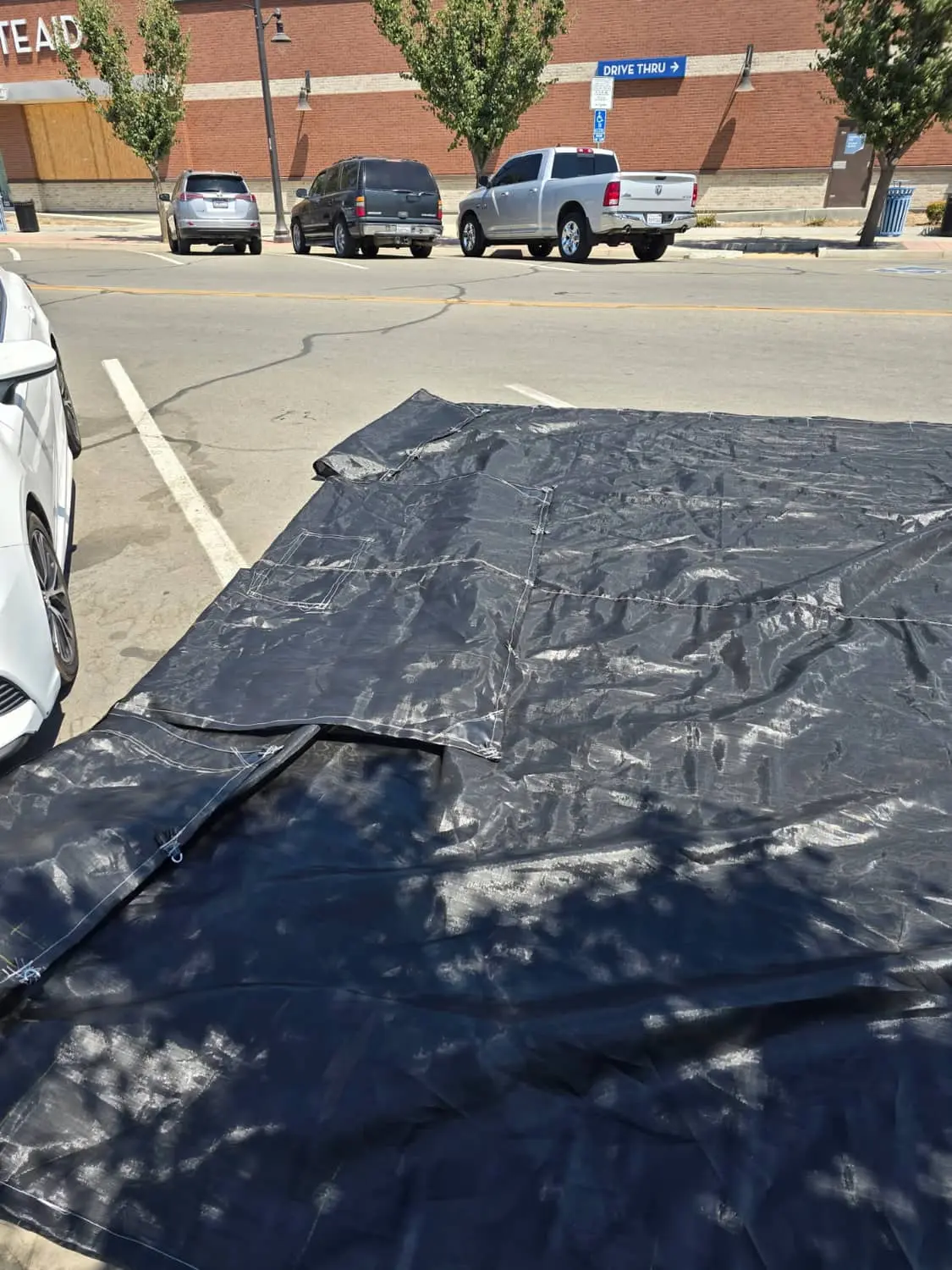 Lightweight Citrus Tarps — view 3